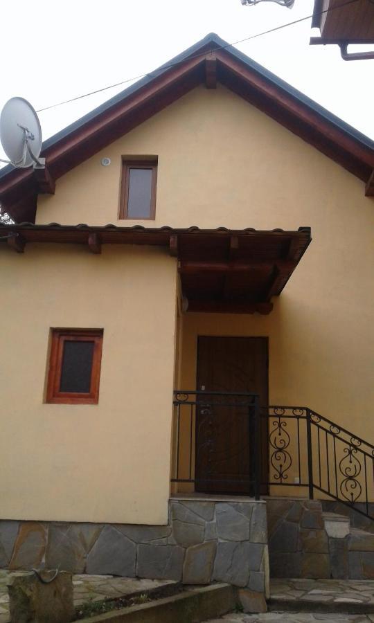 Dva Opryshka Villa Jaremtsje Buitenkant foto